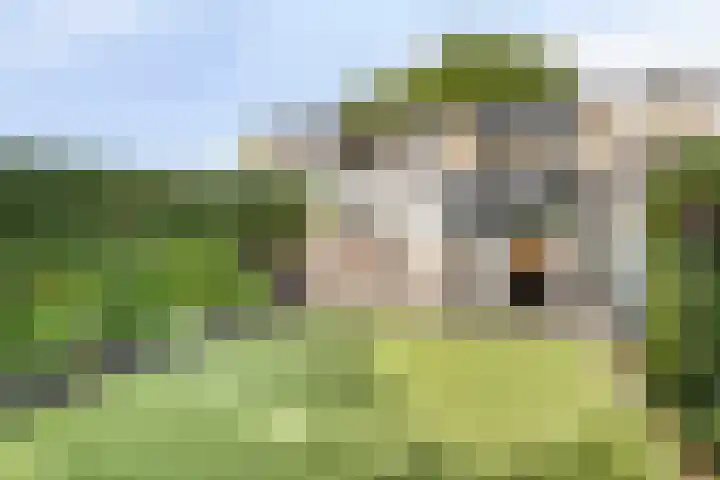Burg. de Kuijperlaan 4 Veghel thumbnail 33