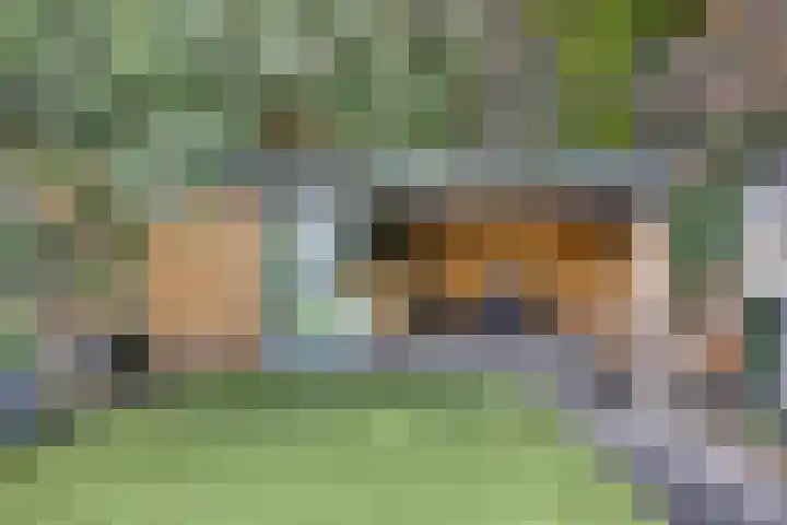 Burg. de Kuijperlaan 4 Veghel thumbnail 34