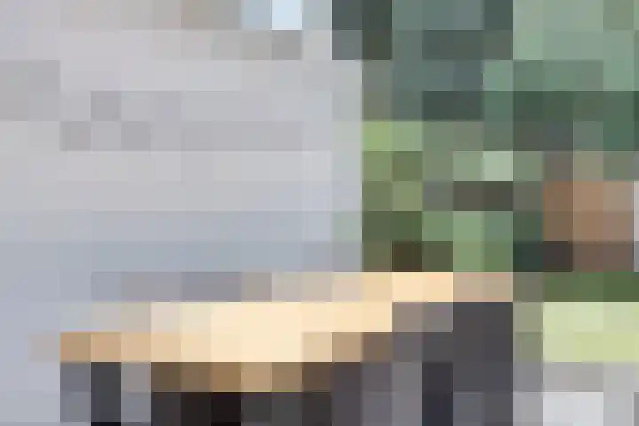 Burg. de Kuijperlaan 4 Veghel thumbnail 36