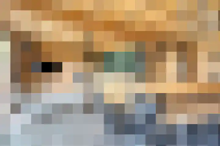 Burg. de Kuijperlaan 4 Veghel thumbnail 37