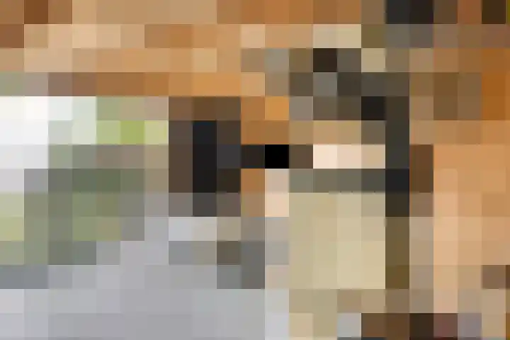 Burg. de Kuijperlaan 4 Veghel thumbnail 40
