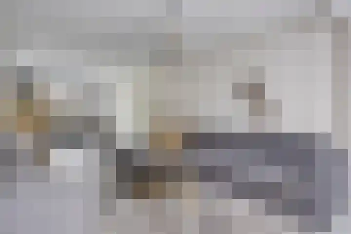 Burg. de Kuijperlaan 4 Veghel thumbnail 6