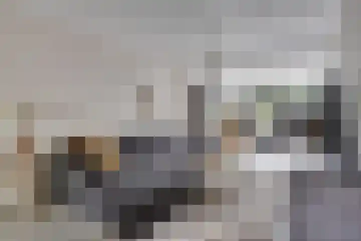 Burg. de Kuijperlaan 4 Veghel thumbnail 8