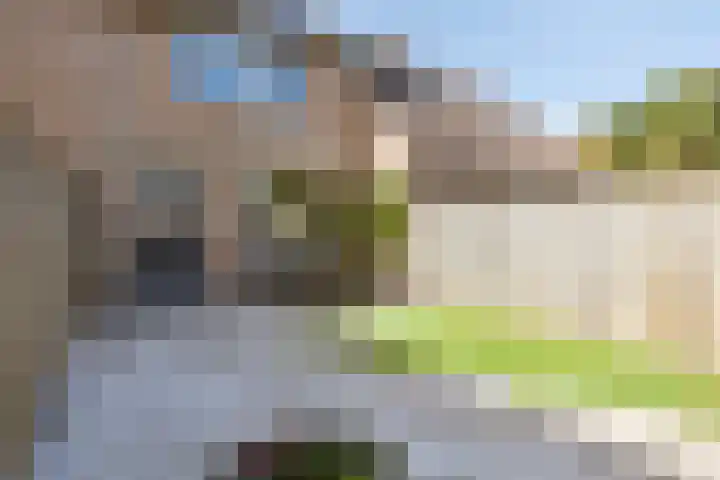 Burg. De Ruyterstraat 3 Haaren thumbnail 24