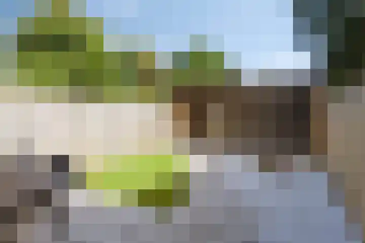 Burg. De Ruyterstraat 3 Haaren thumbnail 26