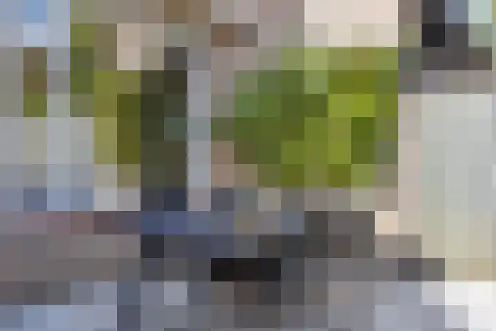 Burg. De Ruyterstraat 3 Haaren thumbnail 27