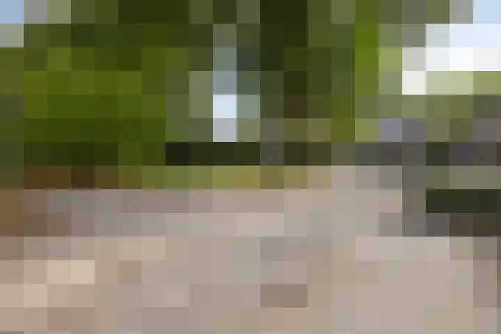 Burg. De Ruyterstraat 3 Haaren thumbnail 31