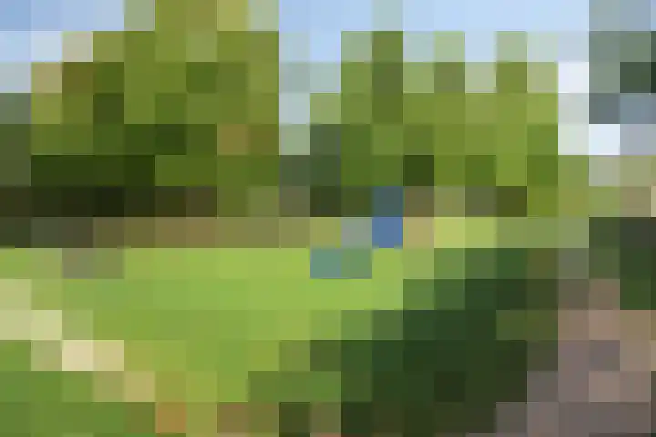 Burg. De Ruyterstraat 3 Haaren thumbnail 32