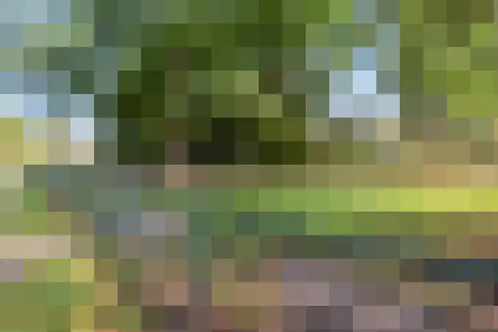 Burg. De Ruyterstraat 3 Haaren thumbnail 33