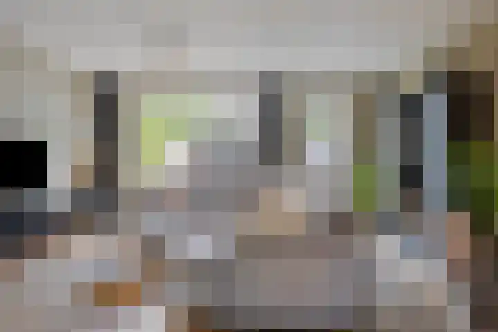 Burg. De Ruyterstraat 3 Haaren thumbnail 4