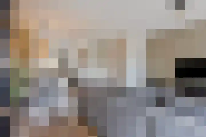 Burg. De Ruyterstraat 3 Haaren thumbnail 7