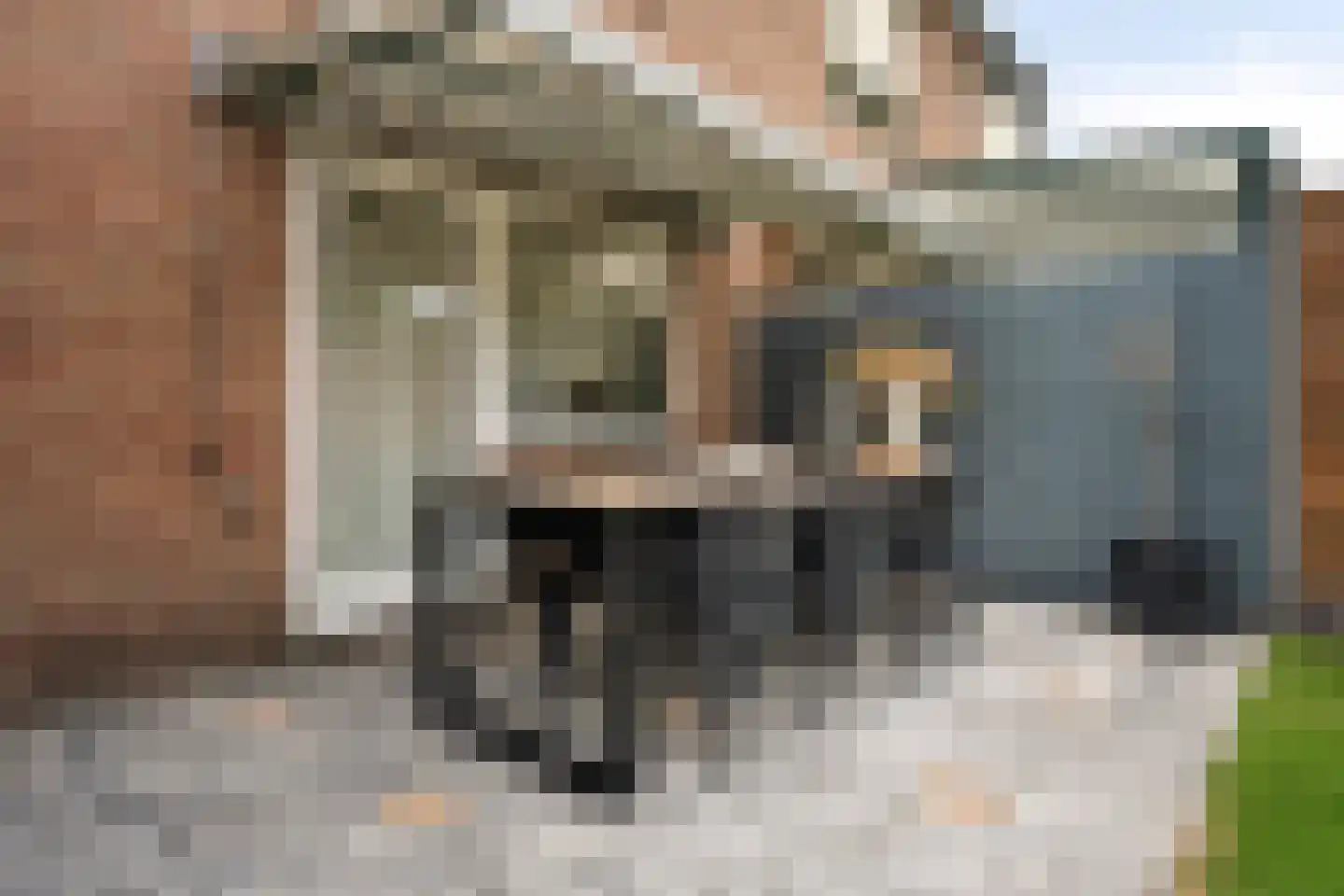 Burg de Witstraat 22 Elsloo thumbnail 18
