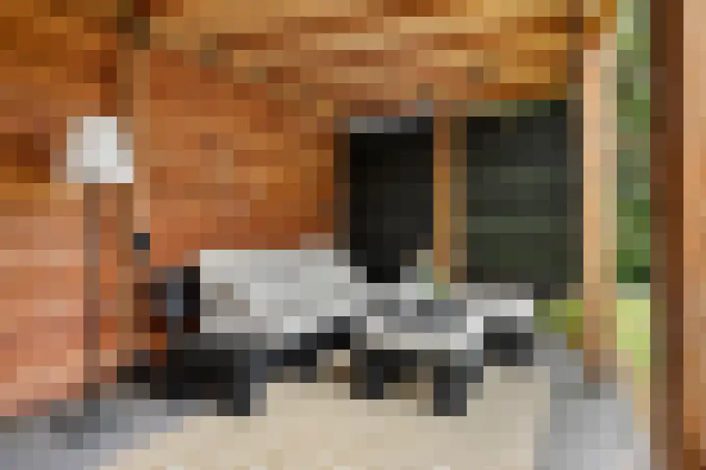 Burg de Witstraat 22 Elsloo thumbnail 19