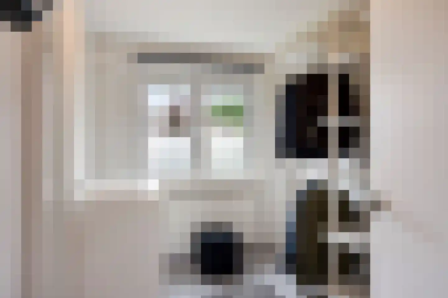 Burg de Witstraat 22 Elsloo thumbnail 24