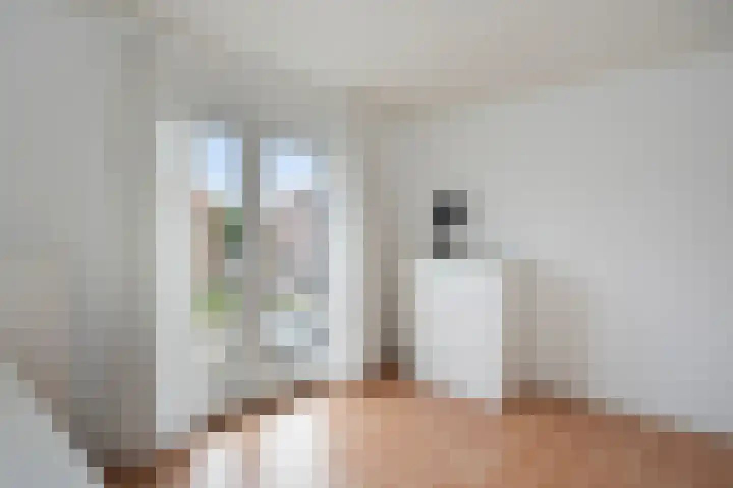 Burg de Witstraat 22 Elsloo thumbnail 28