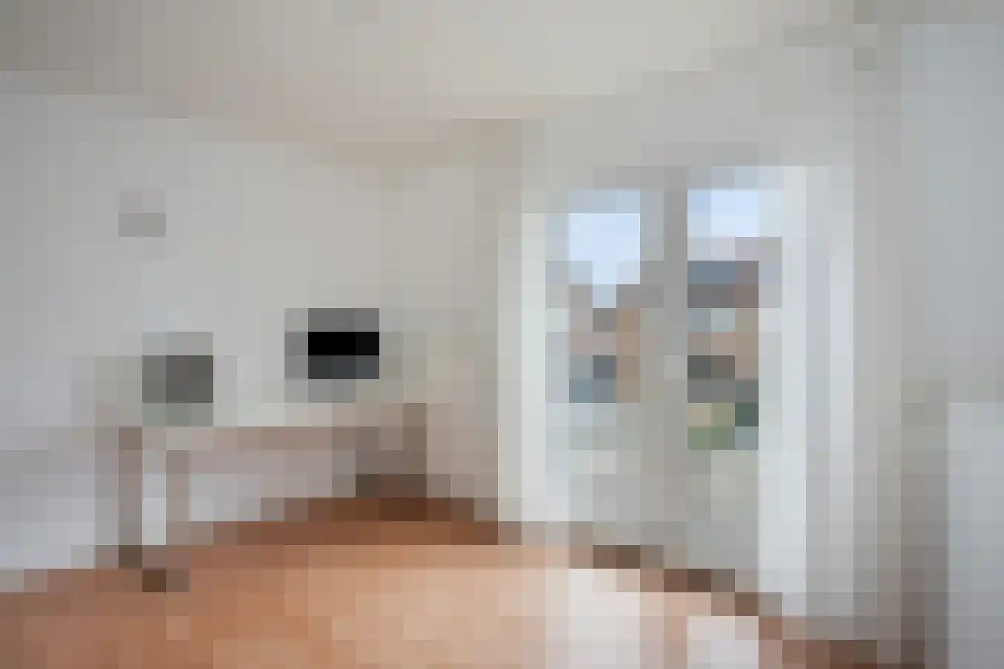 Burg de Witstraat 22 Elsloo thumbnail 29