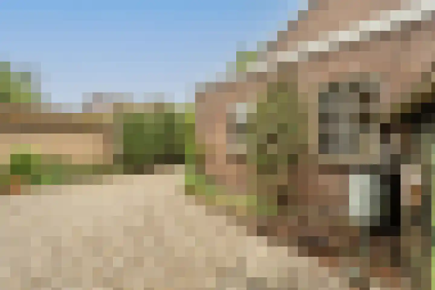 Burg de Zeeuwstraat 104 Numansdorp thumbnail 42