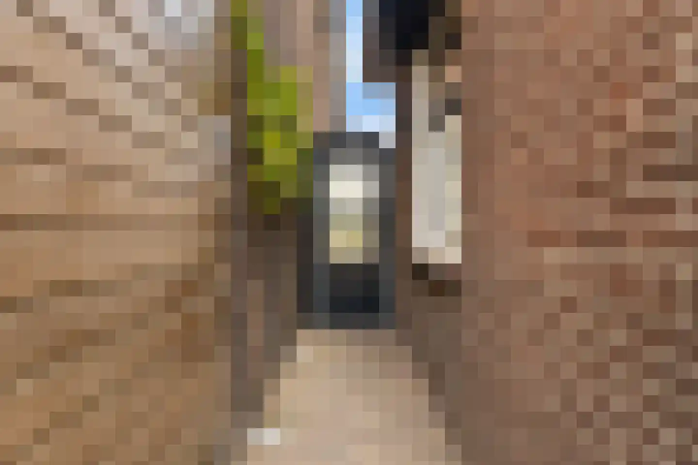 Burg de Zeeuwstraat 189 a Numansdorp thumbnail 14