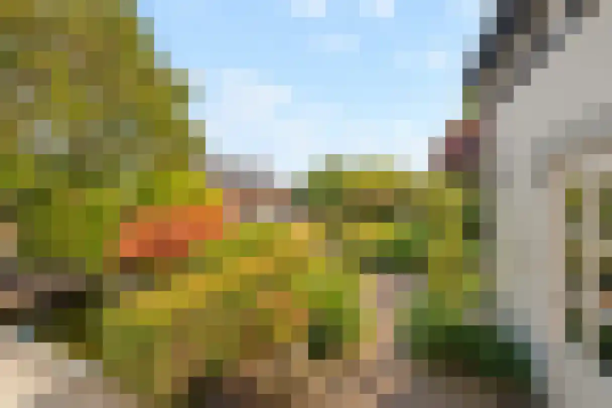 Burg de Zeeuwstraat 26 Numansdorp thumbnail 15