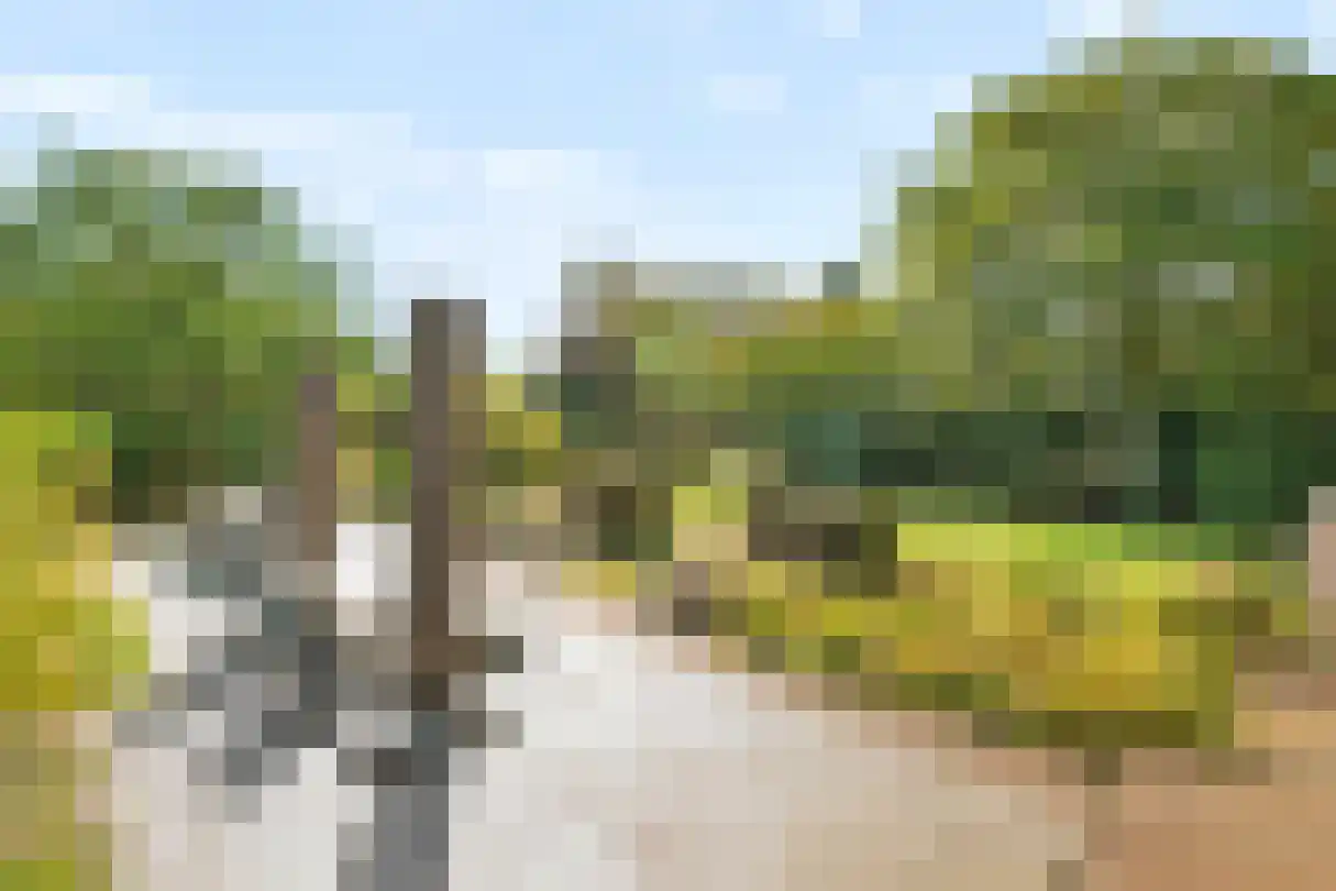 Burg de Zeeuwstraat 26 Numansdorp thumbnail 17
