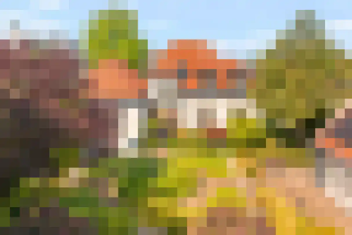 Burg de Zeeuwstraat 26 Numansdorp thumbnail 19