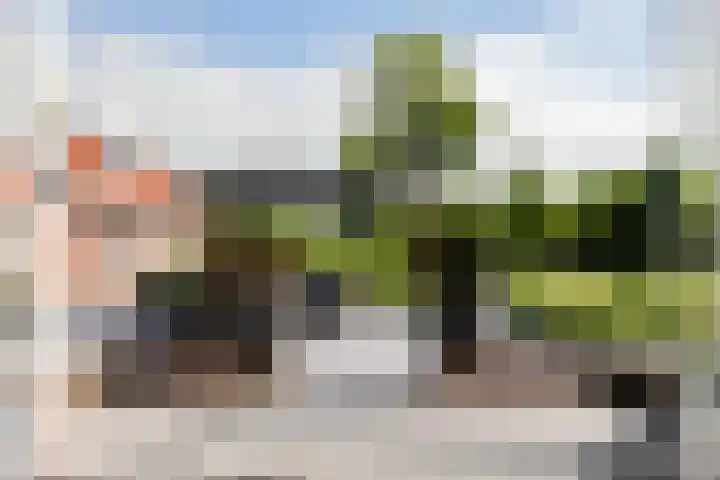 Burg de Zeeuwstraat 30 Numansdorp thumbnail 22