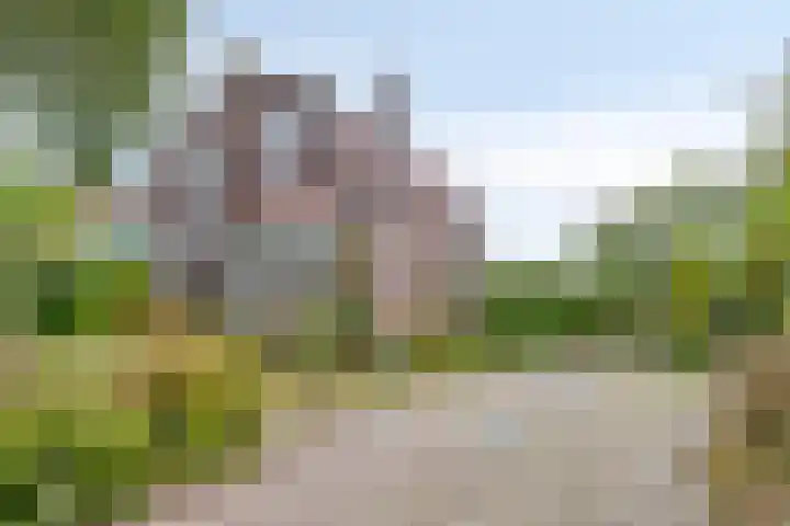 Burg de Zeeuwstraat 58 Numansdorp thumbnail 35