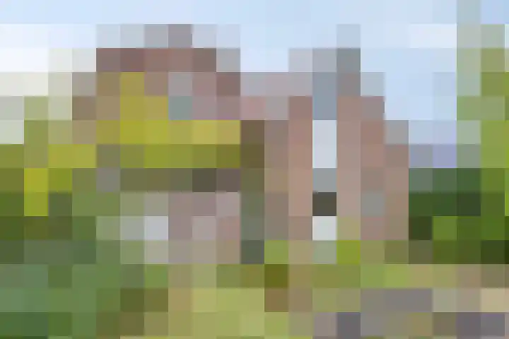 Burg de Zeeuwstraat 58 Numansdorp thumbnail 41
