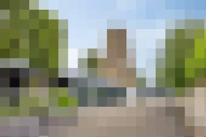Burg de Zeeuwstraat 58 Numansdorp thumbnail 49