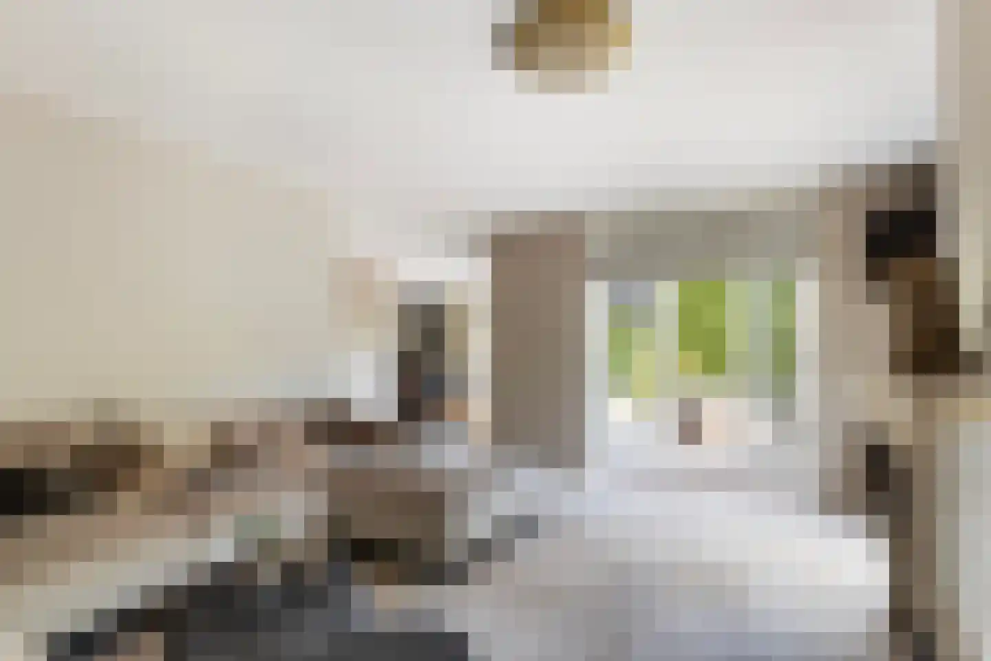 Burg de Zeeuwstraat 90 Numansdorp thumbnail 24