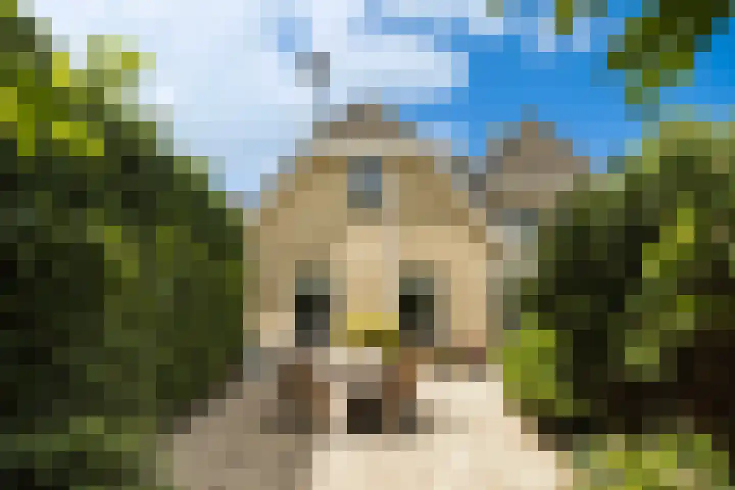 Burg de Zeeuwstraat 90 Numansdorp thumbnail 46