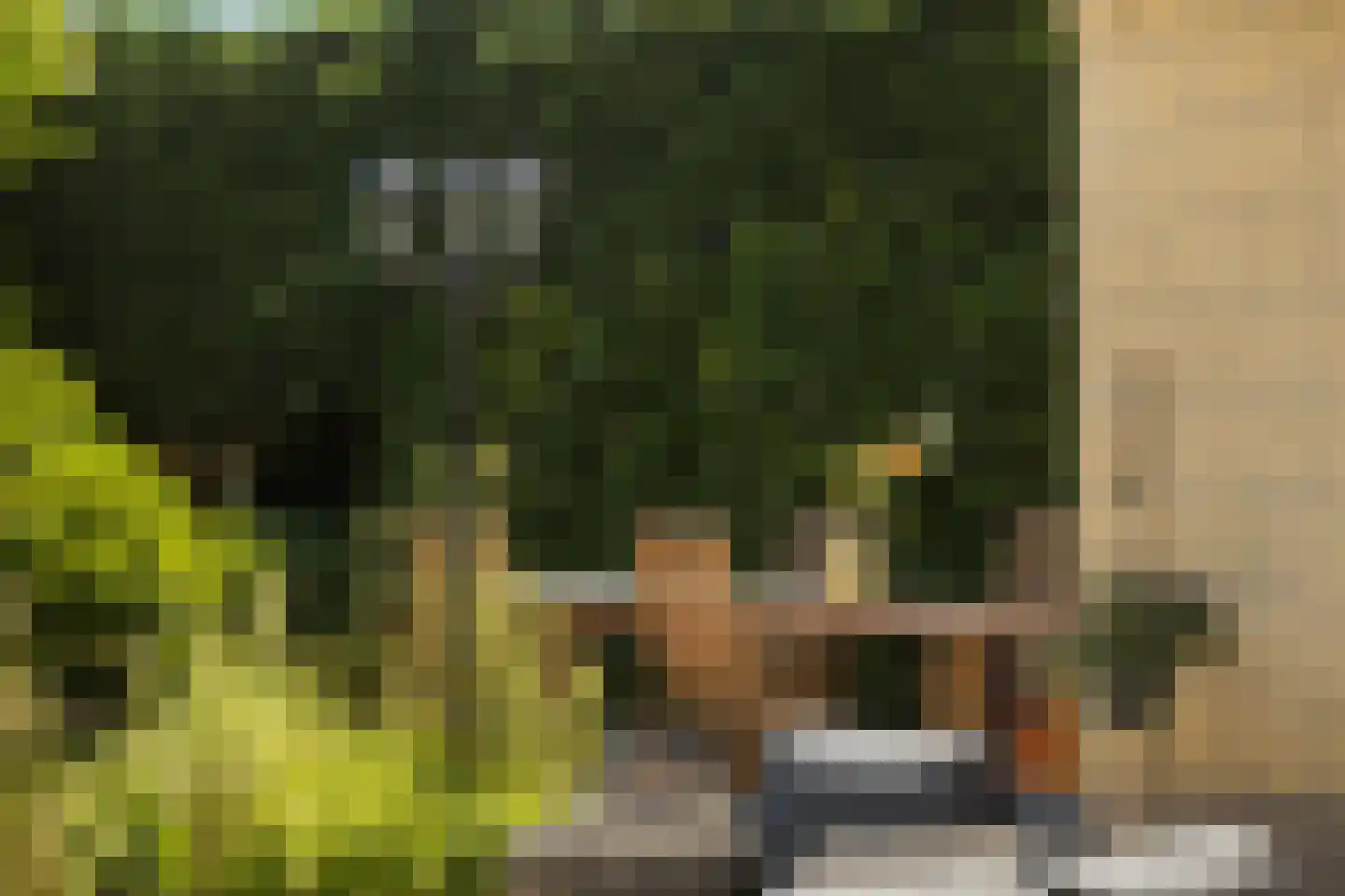 Burg de Zeeuwstraat 90 Numansdorp thumbnail 48