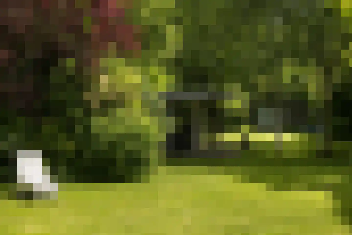 Burg de Zeeuwstraat 90 Numansdorp thumbnail 62