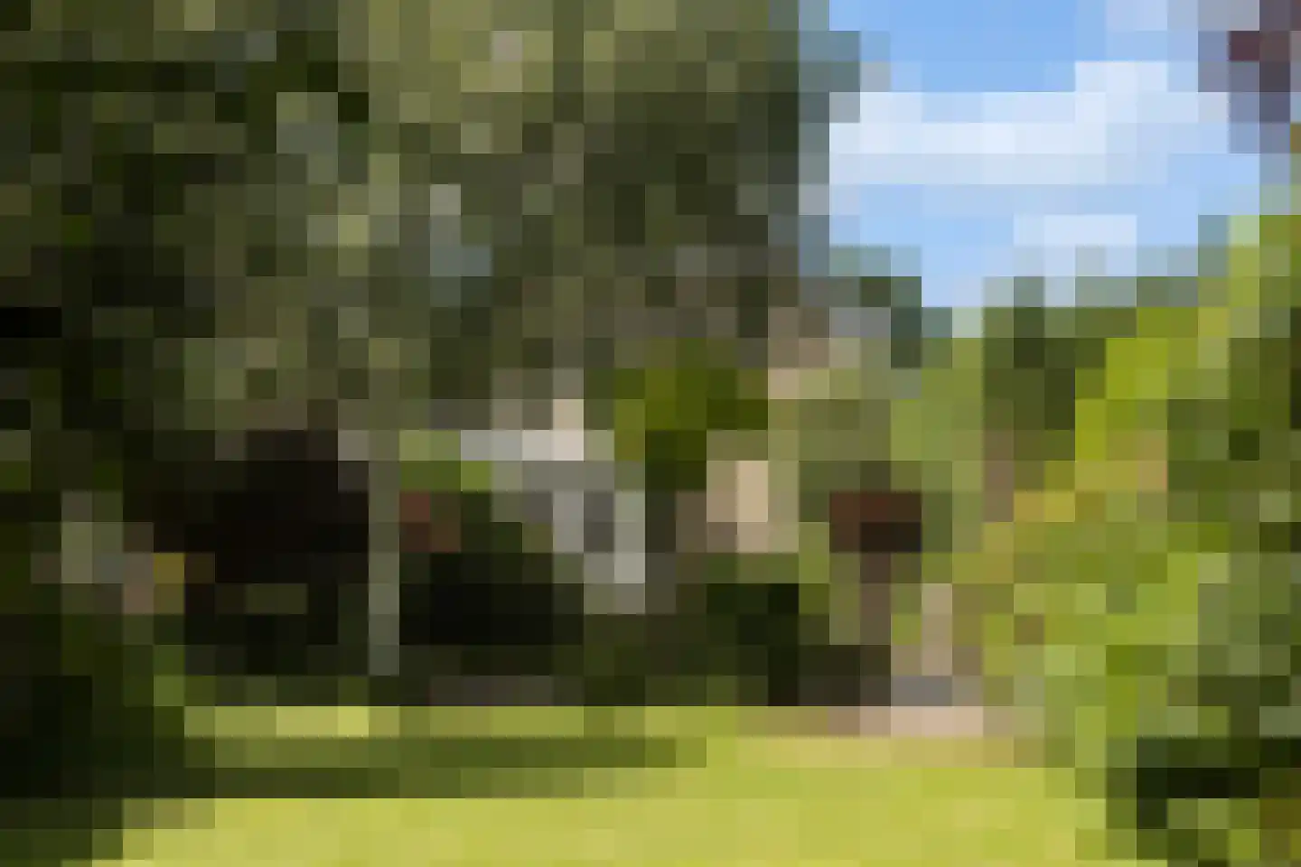 Burg de Zeeuwstraat 90 Numansdorp thumbnail 64