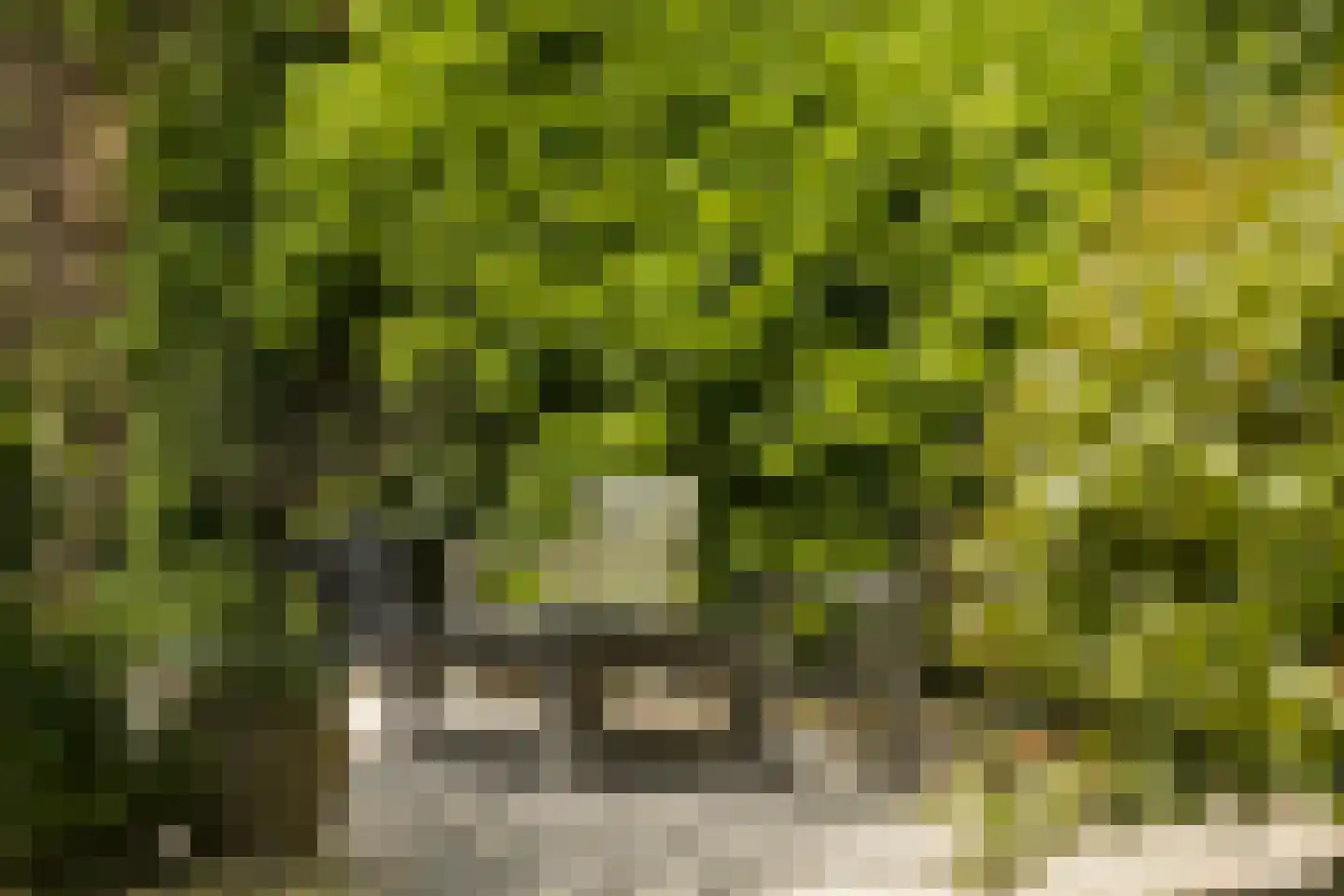 Burg de Zeeuwstraat 90 Numansdorp thumbnail 65