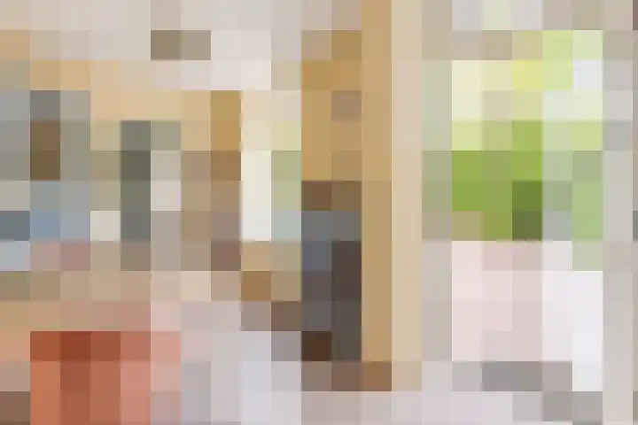 Burg. Den Oudenstraat 2 Haaren thumbnail 11