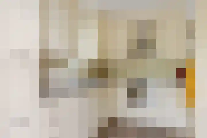 Burg. Den Oudenstraat 2 Haaren thumbnail 12