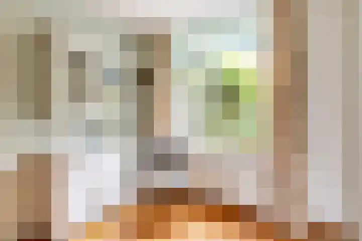 Burg. Den Oudenstraat 2 Haaren thumbnail 13