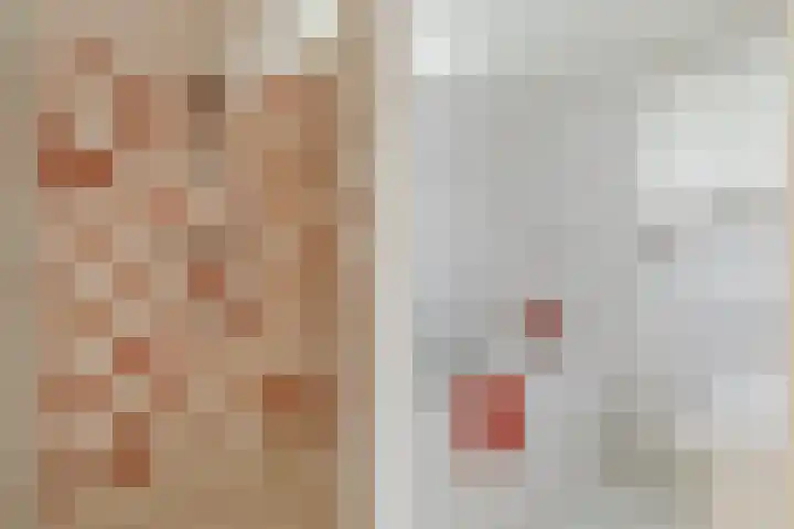 Burg. Den Oudenstraat 2 Haaren thumbnail 19