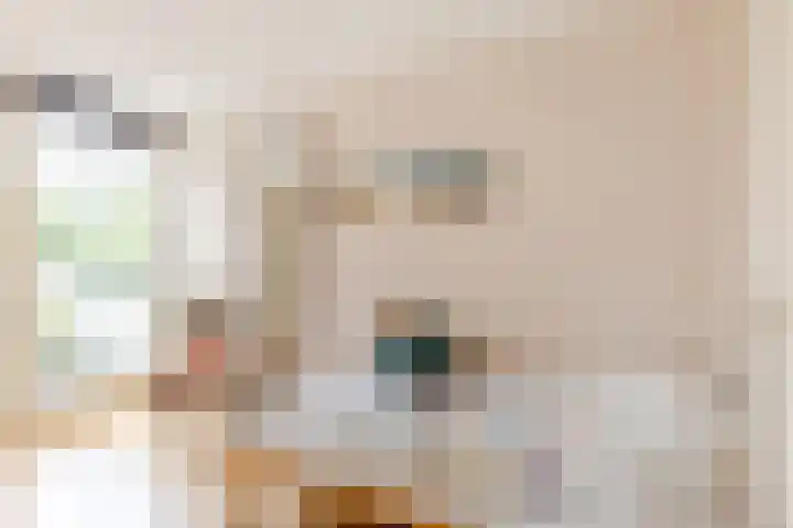 Burg. Den Oudenstraat 2 Haaren thumbnail 21