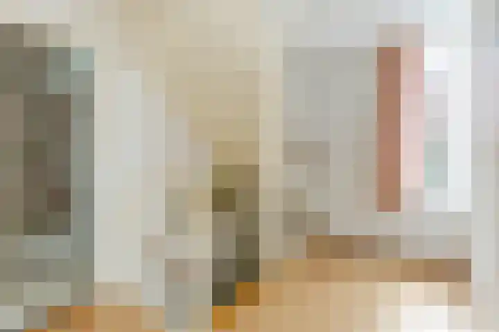 Burg. Den Oudenstraat 2 Haaren thumbnail 23