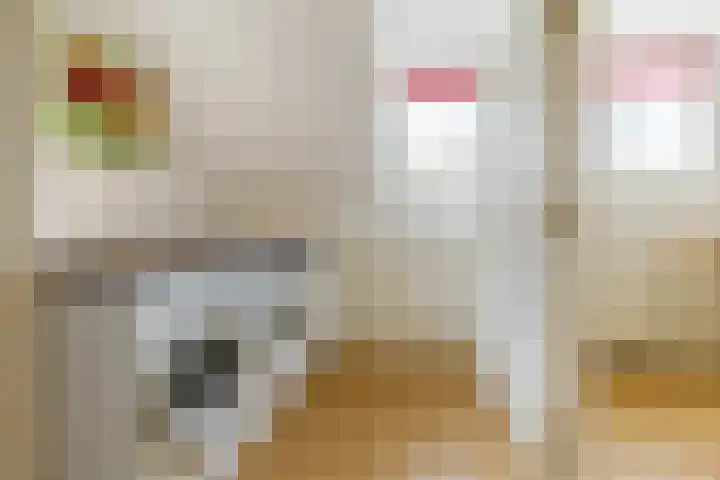 Burg. Den Oudenstraat 2 Haaren thumbnail 28