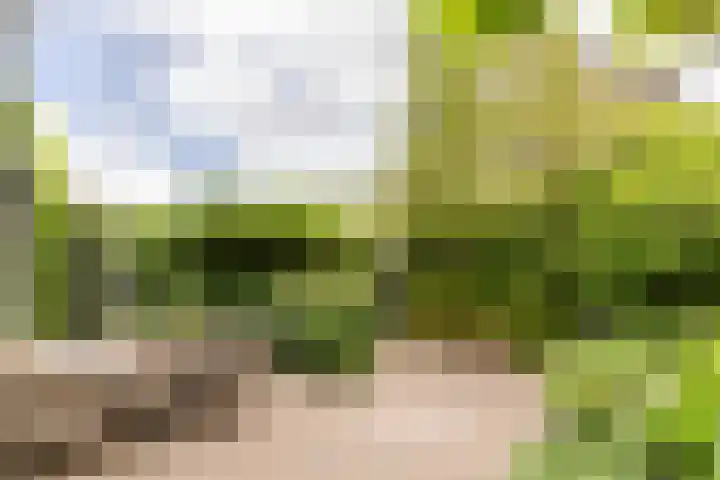 Burg. Den Oudenstraat 2 Haaren thumbnail 30