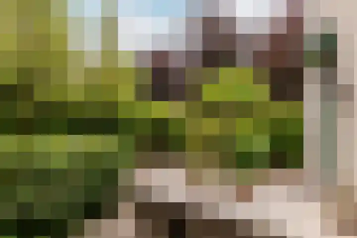 Burg. Den Oudenstraat 2 Haaren thumbnail 32