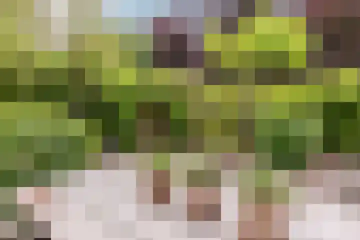 Burg. Den Oudenstraat 2 Haaren thumbnail 33