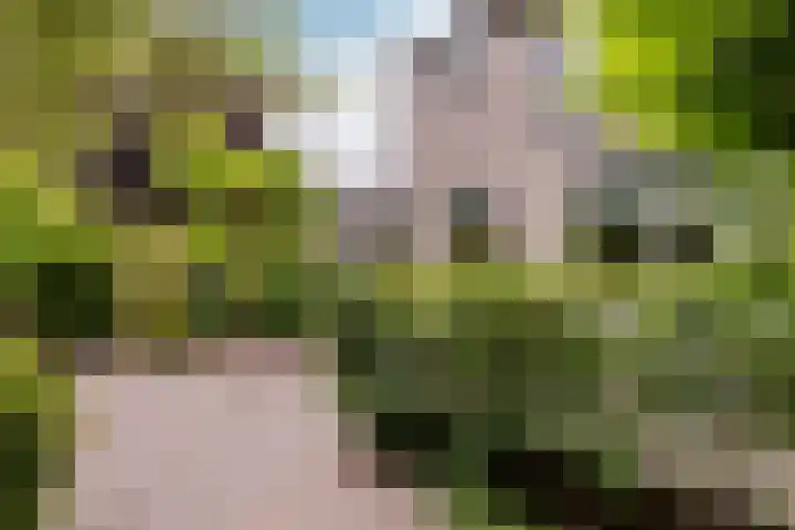 Burg. Den Oudenstraat 2 Haaren thumbnail 34