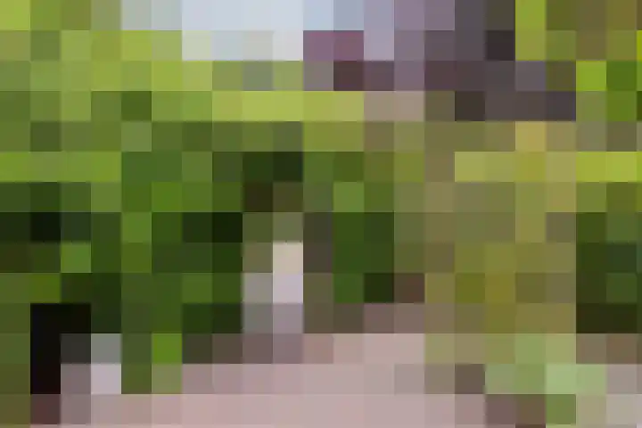 Burg. Den Oudenstraat 2 Haaren thumbnail 36