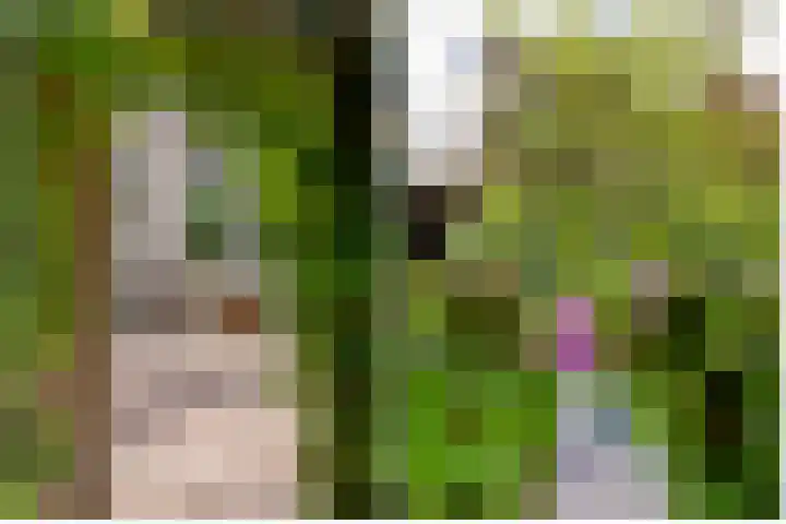 Burg. Den Oudenstraat 2 Haaren thumbnail 37