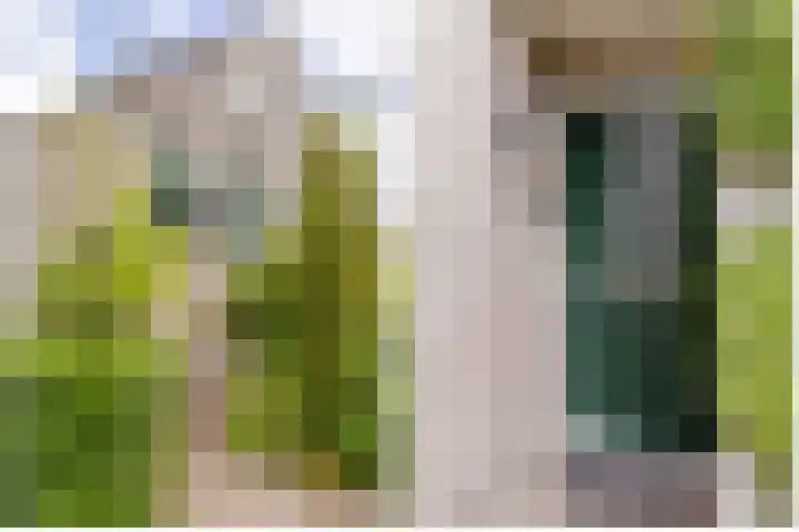 Burg. Den Oudenstraat 2 Haaren thumbnail 38