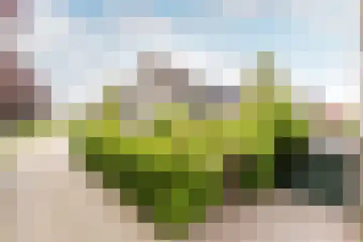 Burg. Den Oudenstraat 2 Haaren thumbnail 39